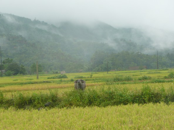 Une vallee pres de ha Giang