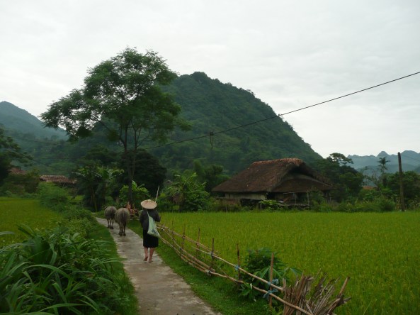 Au coeur de la campagne vietnamienne