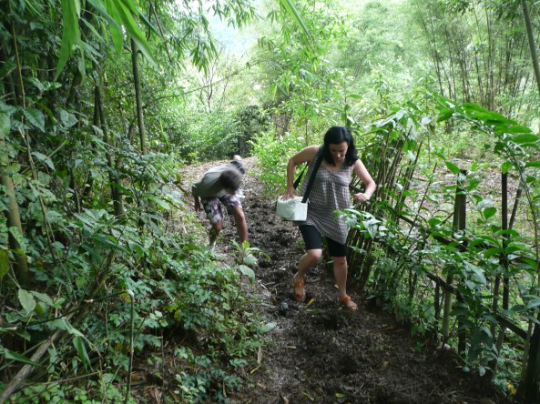 Sur le sentier des bufle du village!!!