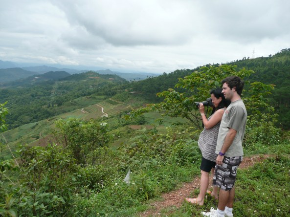 Arrets de photos en cour de route
