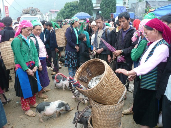 Echange des animeaux!!!