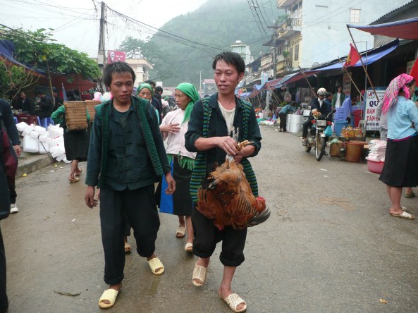 Vendre le poules au marche 