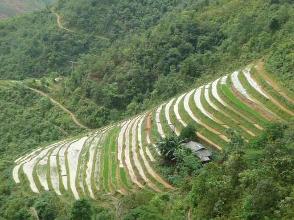 Les terrasses emplies d'eau