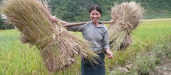 Province de Lang Son