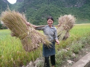 Province de Lang Son