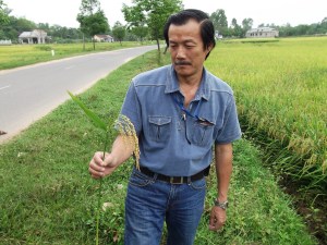 Guide francophone Vietnam