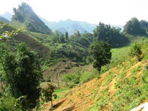 cao son - Lao Cai