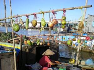 Marche flottant du delta du Mekong