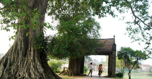 Village de Duong Lam