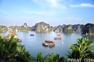 Halong