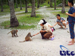 l'ile des singe- Nha Trang