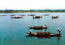 Riviere des parfums a Hue