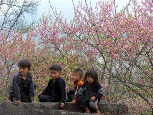 Nord ouest du Vietnam