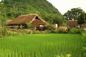 maison dur pilotis des Tays....