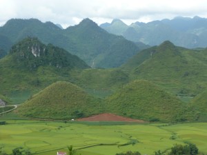 Chef d'oeuvre de la nature...