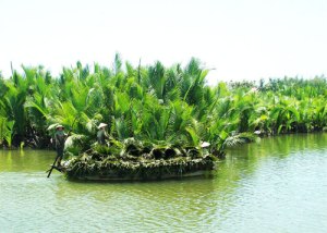 les-nipas-de-cam-thanh