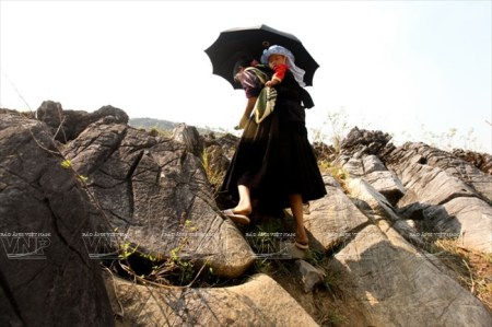 le-plateau-de-tua-chua