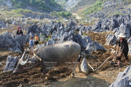 le-plateau-kastique-de-tua-chua
