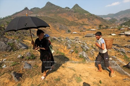 les-hmong-vivent-en-hamonie-avec-la-nature